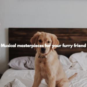 Musical masterpieces for your furry friend - Musica para Leer Ambiente