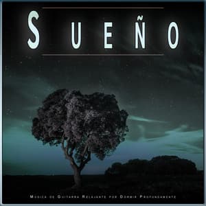 Ritmos Binaurales Sueño: Música de Guitarra para Dormir - Música de Sueño Colectivo