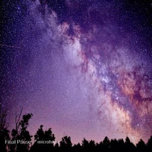 Final Pause - microhope