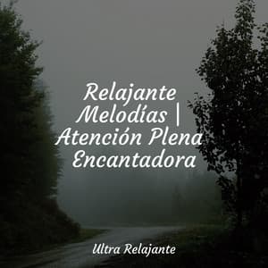 Relajante Melodías | Atención Plena Encantadora - Relaxamento Sons da Natureza Ruído Branco Musicas Clube