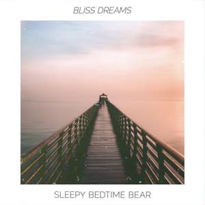 Bliss Dreams - Sleepy Bedtime Bear