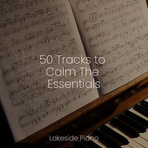 50 Tracks to Calm The Essentials - SD