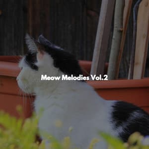 Meow Melodies Vol.2 - Coffee Shop Piano
