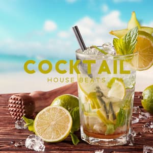 Cocktail House Beats: Music to Keep the Chill Atmosphere and Accompany Your Cocktail Party - Drink Bar Chillout Music