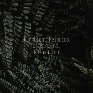 50 Ambient Melodies for Binaural Relaxation - Yoga Sounds