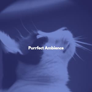 Purrfect Ambience - Barista Jazz Lounge