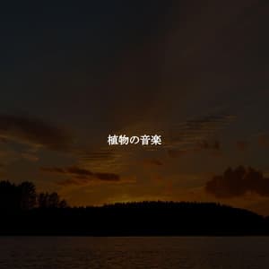 植物の音楽 - Jazz Lounge Bar Ambiance