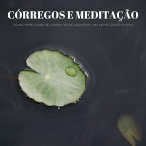 Córregos E Meditação: Os Melhores Sons De Correntes De Água Para Uma Mente Concentrada - Relajante