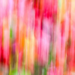 Simple Music for Summertime Springs - Chill Out - Paris Coffee Shop