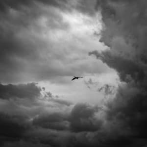 10 PM Dreams: Airborne Wish - Calm Music