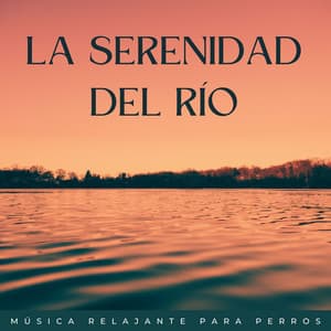 La Serenidad Del Río: Música Relajante Para Perros - Música ambiental relajante