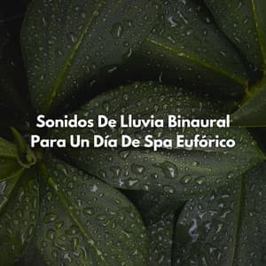 Sonidos De Lluvia Binaural Para Un Día De Spa Eufórico - Doctor Hz