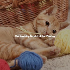 The Soothing Scratch of Our Purring - 1940s Coffee Jazz