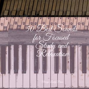 Caring Music | Meditation Focus - Piano Love Songs