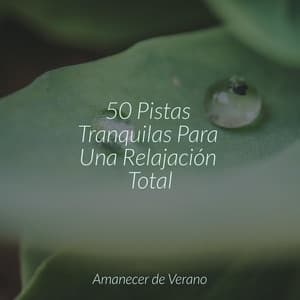 50 Pistas Tranquilas Para Una Relajación Total - Spa