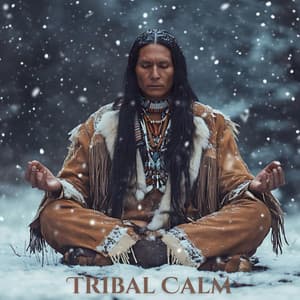 Tribal Calm: Kalimba and Shaman Drum for Restful Sleep - Osin Wood