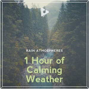 1 Hour of Calming Weather - Rain Atmospheres