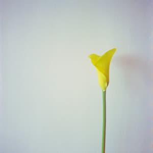 365 Lullabies: Softening The Sky - Calm Music