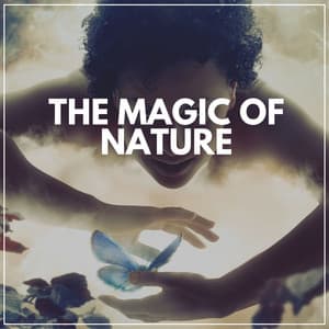 The Magic of Nature - Organic Nature Sounds