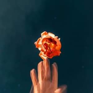 0 Hour Garden: Roots Of Youth - Spa Music Relaxation