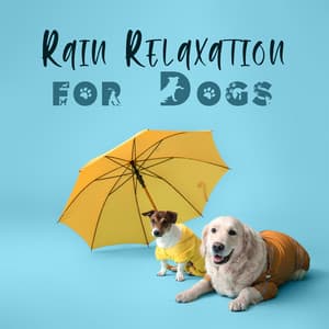 Rain Relaxation for Dogs: Calming Rain Sounds for Hyperactive, Stressed and Restless Dog - Pet Care Club