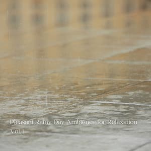 Pleasant Rainy Day Ambience for Relaxation Vol. 1 - Recorder Rain
