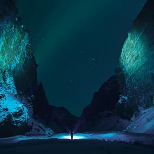 4 Seasons: Ambient Voyage - Baltic Nature Sounds