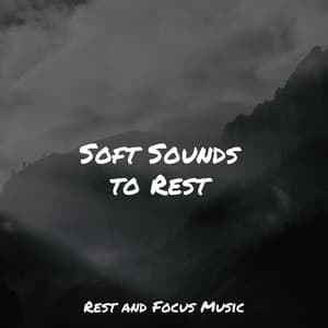 Soft Sounds to Rest - Deep Focus