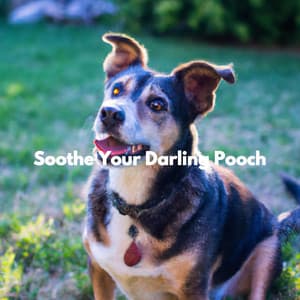Soothe Your Darling Pooch - Doggy Relaxing Sounds