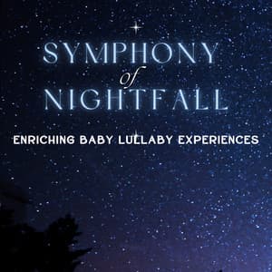 Symphony of Nightfall - Enriching Baby Lullaby Experiences - Night Warmers