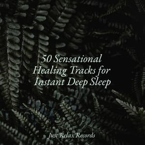 50 Sensational Healing Tracks for Instant Deep Sleep - Musica para Meditar
