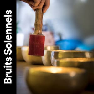 Bruits Solennels - Bruit Blanc Dormir