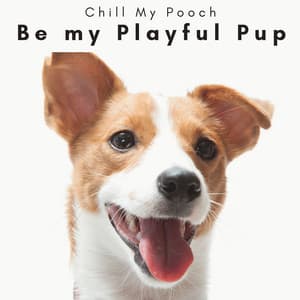 4 D Be my Playful Pup - Chill My Pooch