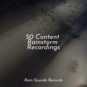 50 Content Rainstorm Recordings - Lullabies for Deep Meditation