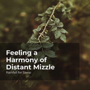 Feeling a Harmony of Distant Mizzle - Rainfall For Sleep