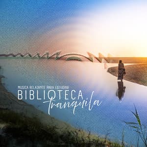 Biblioteca tranquila - Musica Relajante Para Estudiar