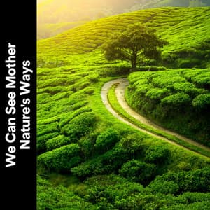 We Can See Mother Nature's Ways - Naturalis