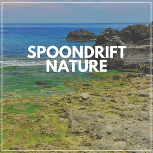 Spoondrift Nature - Nature Label
