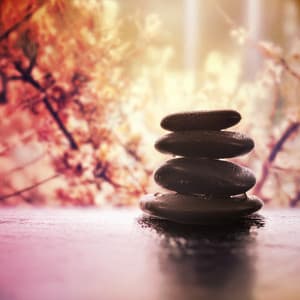 Waveform of the Balanced Self - Katie Bliss