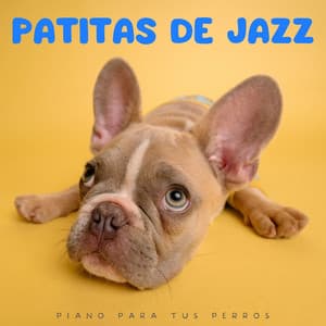 Patitas De Jazz: Piano Para Tus Perros - Jazz instrumental de fondo