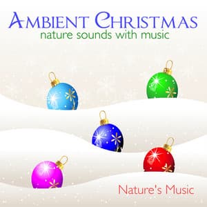 Ambient Christmas Nature Sounds with Music - Nature's Music