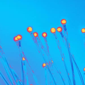 Inspiring Background for Studying Legends - Jazz Vibe Chill Out