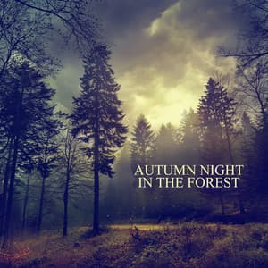 Autumn Night in the Forest: New Age Music with Relaxing Nature Sounds, Forest and Rain Sounds for Sleeping and Anxiety Relief - Robin Gardner