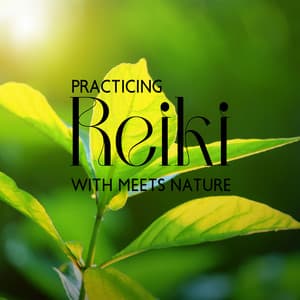 Practicing Reiki with Meets Nature - Reiki Music Energy Healing