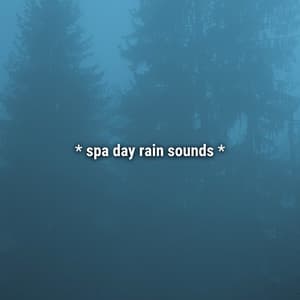 * spa day rain sounds * - Sound Effects Library