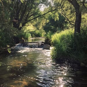 Relajación Con El Arroyo: Aguas Calmantes Contra El Estrés - Ruidos Relajantes