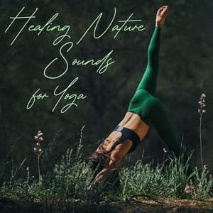 Healing Nature Sounds for Yoga - Hatha Yoga Music Zone