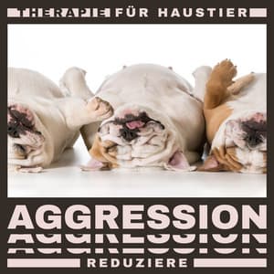 Therapie für Haustier: Aggression reduziere - Entspannende Haustier Akademie