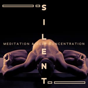 Silent Meditation & Deep Concentration: Nature Sounds, Stress Relief - Deep Meditation Academy
