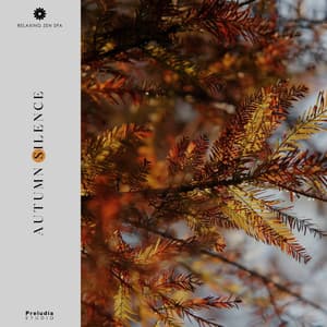 Autumn Silence - Relaxing Zen Spa